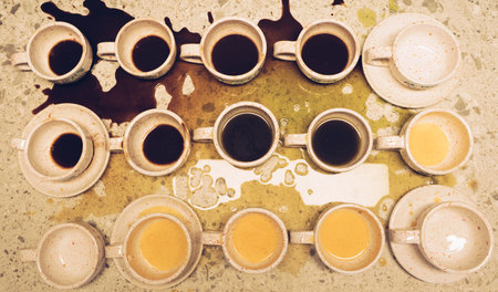 In this close-up, a cat enjoys a spoonful of sour cream. The cats round face and folded ears make the moment even more adorable. The spoon glistens as the cat licks the cream.の写真素材