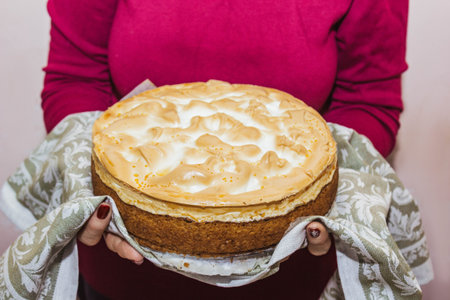Delicious homemade apricot cake decorated with baked crust isolated on white background in human...