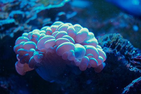 Seagrass, illuminated with vibrant colors and textures, creating a captivating underwater scene....