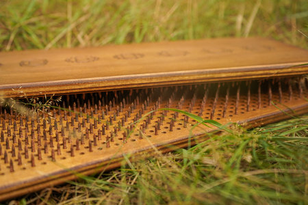 Two nailed Sadhu boards lie on the grass. A close-up of a nailed Sadhu board placed on a grassy...