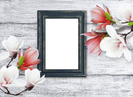 White and pink magnolia flowers and photo frame on background of shabby wooden planks in rustic...
