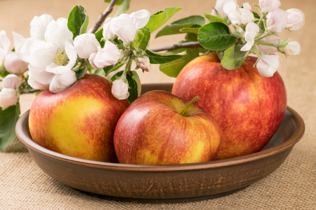 Red apples and twig of apple tree in clay plateの写真素材