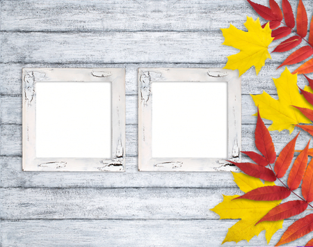 Autumn background with two photo frames and autumnal leaves on wooden boards in Shabby Chic style. Copy space. Empty place for photo or text.の写真素材