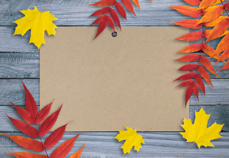 Autumn background with paper sheet and leaves on wooden boards. Copy space. Empty place for photo or text.の写真素材