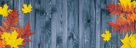 Autumn leaves on wooden planks in rustic style. Empty place for photo or text. Copy space. Top view.の写真素材