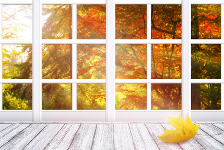 Room interior with window frame and yellow maple leaf lying on wooden table in Shabby Chic style. Autumn sunny day with autumnal trees outside. Empty place for decoration.の写真素材