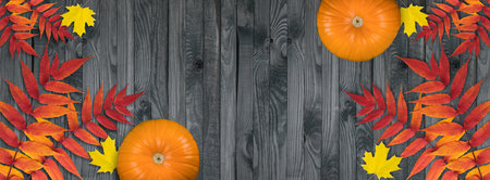 Celebration still life with pumpkins and autumn  leaves on wooden background for Thanksgiving. Empty place for text. Copy space.の写真素材