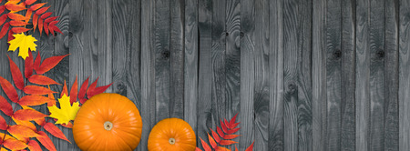 Celebration still life with pumpkins and autumn  leaves on wooden background for Thanksgiving. Empty place for text. Copy space.の写真素材