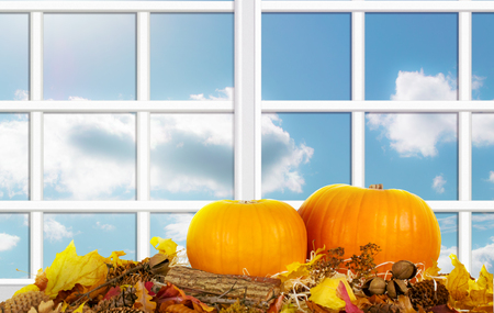 Autumn festive background with window and pumpkins on leaves for Thanksgivingの写真素材