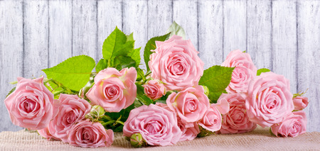 Rose flowers on background of shabby wooden planks in provence styleの写真素材