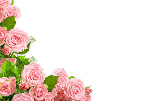 Corner ornament of  pink roses isolated on white background with place for your photo or textの写真素材