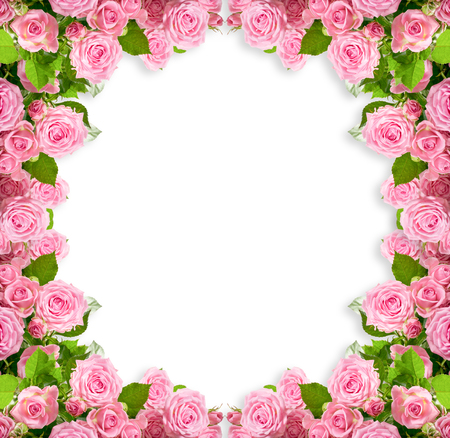 Pink roses frame isolated on white background with place for your photo or textの写真素材