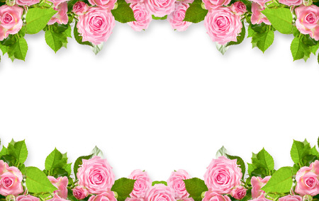 Floral border of pink roses isolated on white background with place for your photo or textの写真素材