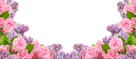 Border of pink roses and lilac isolated on white background with place for your photo or textの写真素材