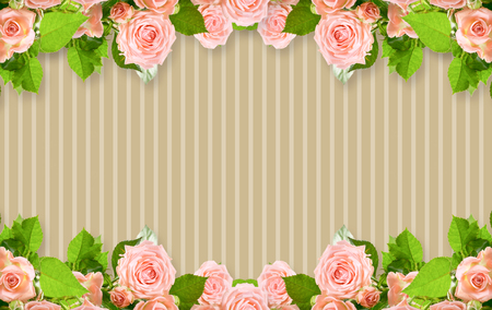 Pink roses frame on striped background with place for your photo or textの写真素材