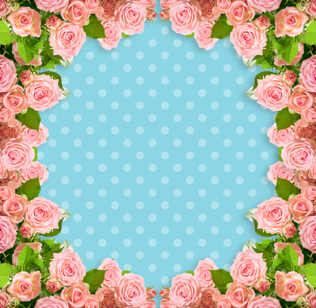 Pink roses frame on blue polka dots background with place for your photo or textの写真素材