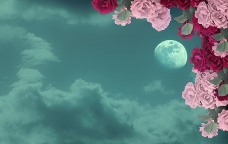 Roses flowers arrangement on background of night sky with mysterious clouds and moon. Moon is taken by me with my camera.の写真素材