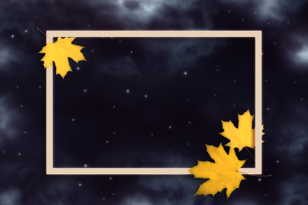 Decorative white frame decorated with yellow maple autumn leaves on background of cloudy sky with stars and place for your textの写真素材