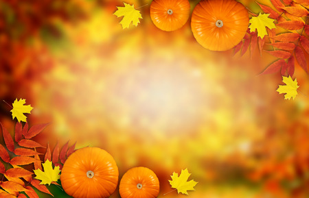 Autumn festive background with pumpkins and autumnal leaves for Thanksgiving and empty place for your textの写真素材