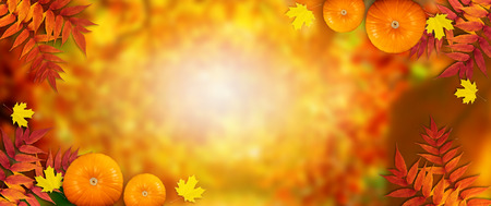 Autumn festive background with pumpkins and autumnal leaves for Thanksgiving and empty place for your textの写真素材