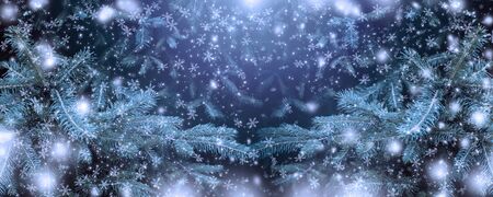 Christmas background with snowfall and spruce branch. New Year winter holiday blizzard.の写真素材