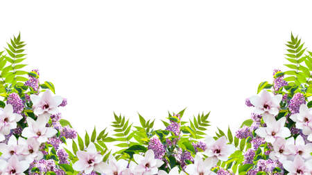 Beautiful floral border ornament consists of lilacs flowers, green foliage and magnolia isolated on white background. Empty copy space for photo or text.の写真素材