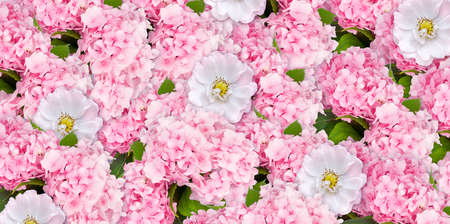 Beautiful floral background consists of pink hortense, roses and briar (dog roses) for wedding photo scene designの写真素材