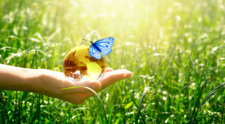 Earth crystal glass globe and butterfly with blue wings in human hand on grass background. Saving environment and clean green planet concept. Card for World Earth Day.の写真素材
