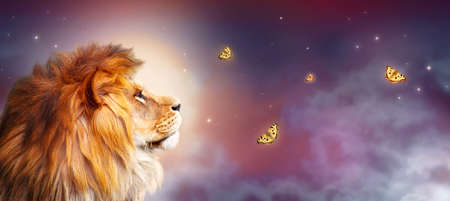 African lion and night savannah in Africa. Moonlight landscape with flying butterflies, king of animals. Proud dreaming fantasy lion in savanna looking on stars. Majestic dramatic starry sky banner.の写真素材