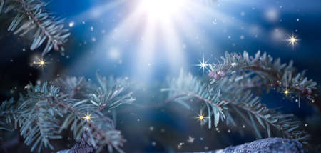 Christmas festive fabulous magical forest scene with winter fir tree branches. Fantasy New Year abstract nature, fairy tale scenery with spruce, glowing rays and shining stars in fairytale night wood.の写真素材