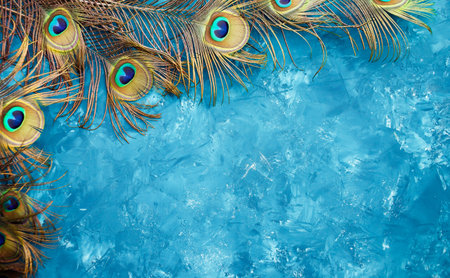 Peacock feathers on a blue backgroundの写真素材