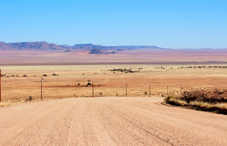 Gravel road through the golden duneの写真素材