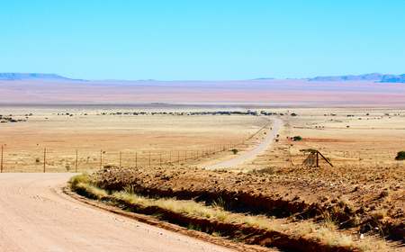 Gravel road through the golden duneの写真素材