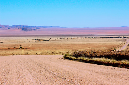 Ground road through the desertの写真素材