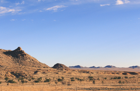 Harsh conditions of the hot savannaの写真素材