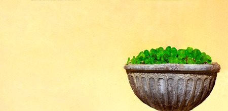 bouquet of flowers on a yellow wallの写真素材