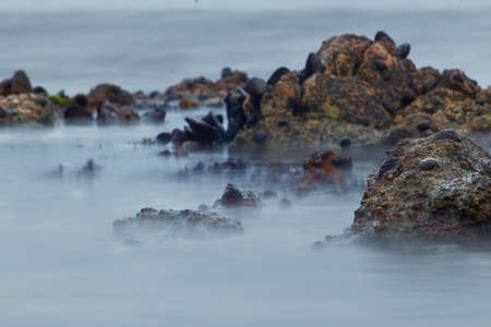 Slow shutter speed photographing water surrounding rock formation in Namibia, Africa at sunset in the Atlantic Oceanの写真素材