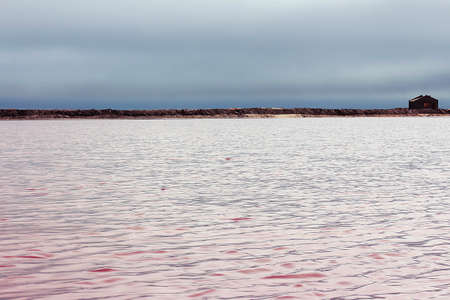 Beautiful red water and salt of the lake. Namibia, Africaの写真素材