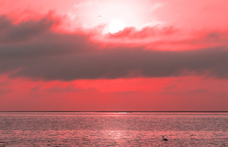 Beautiful red sunset, dark clouds and atlantic ocean on the horizon