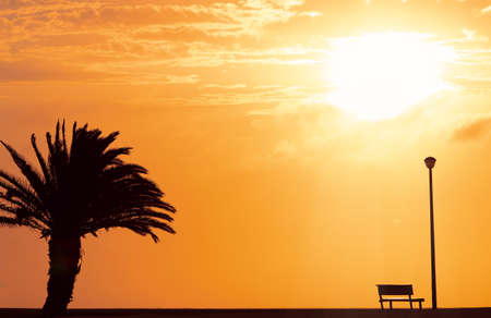 A Wooden bench, street lamp and palm tree with a background view of a red sunset and a bright sun .の写真素材
