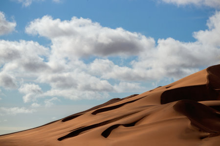 Golden sand dune 7 and white clouds on a sunny day in the Namib desert. Fantastic place for travelers and photographersの写真素材