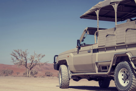 Brown SUV parked on sunlit desert terrain, capturing the bold spirit of off-road travel through the wild landscapes of Africa. Ideal for adventure and exploration concepts.の写真素材