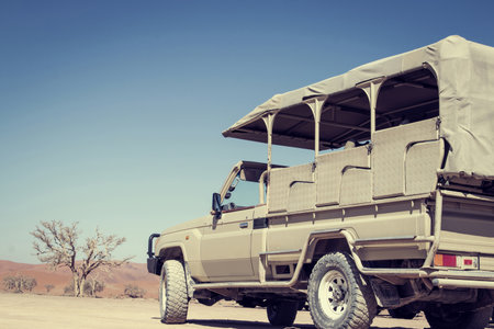 Brown SUV parked on sunlit desert terrain, capturing the bold spirit of off-road travel through the wild landscapes of Africa. Ideal for adventure and exploration concepts.の写真素材