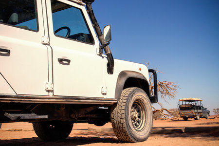 Powerful white SUV parked on sunlit desert sands, highlighting durability and the spirit of exploration. Ideal for themes of travel, off-road vehicles, and outdoor photography.の写真素材