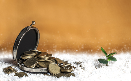 iron wallet with coins in the snow on a yellow backgroundの写真素材