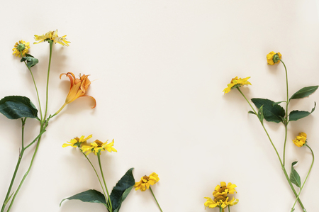 yellow flowers and stems of coreopsis, top viewの写真素材