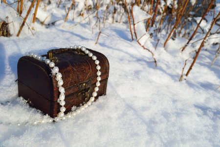 casket with pearls
