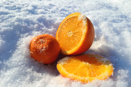 the fruit in the snowの写真素材