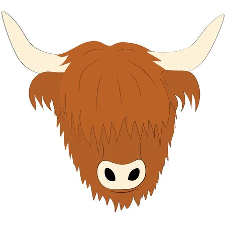 Highland breed - Scottish cow breedのイラスト素材
