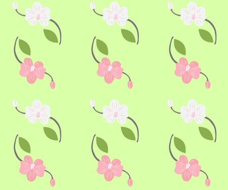 white and pink orchids on a green backgroundのイラスト素材